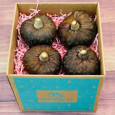 Red Custard Apple (Cherimoya)